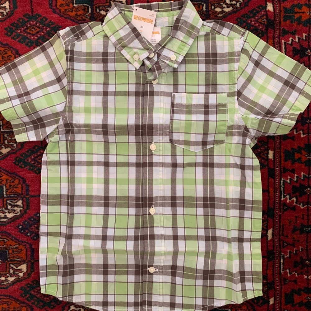 Plaid Button down shirt
